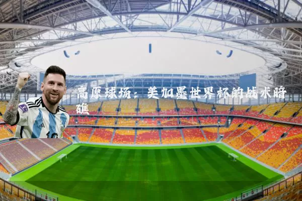 高原球场：美加墨世界杯的战术暗礁